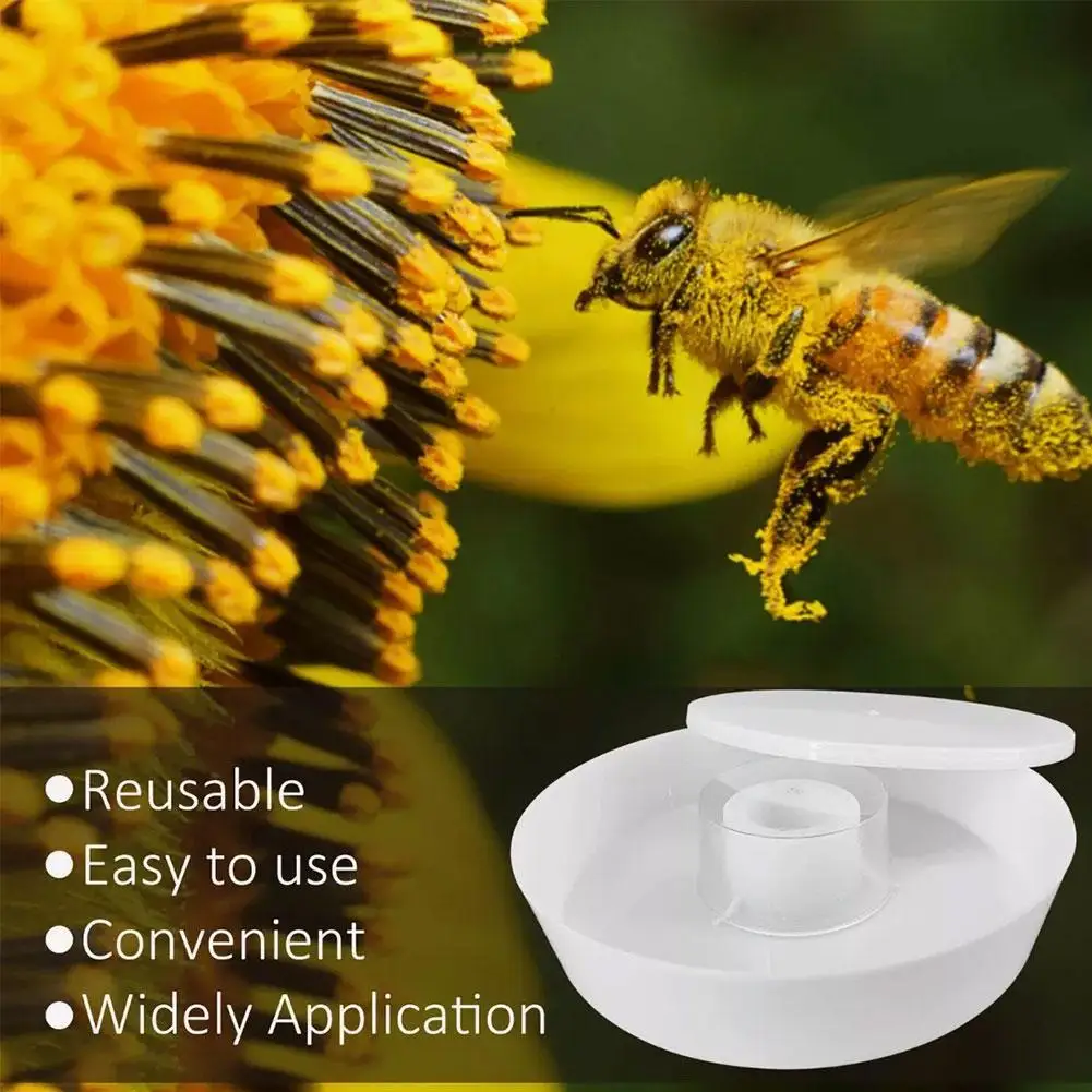 

NEW 26*26*5.8cm Plastic Feeder Beehive Drinking Bowl For Bee Drinking Sugar Syrup Feeding Equipment Bee Keeping Equipment E K4Y0