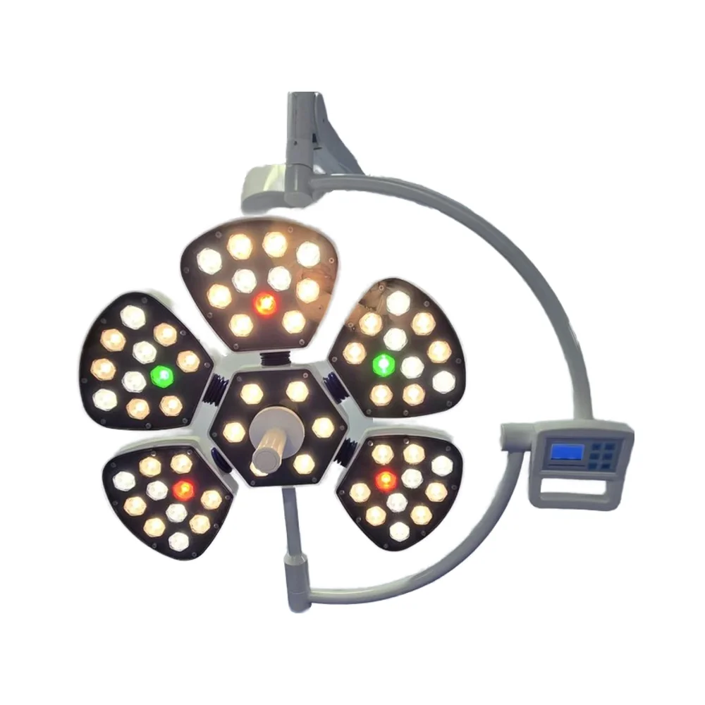 

Adjustable Double Dome Shadowless LED Surgical Light Electric Operation LCD Control Panel Metal Emergency Clinics Apparatuses