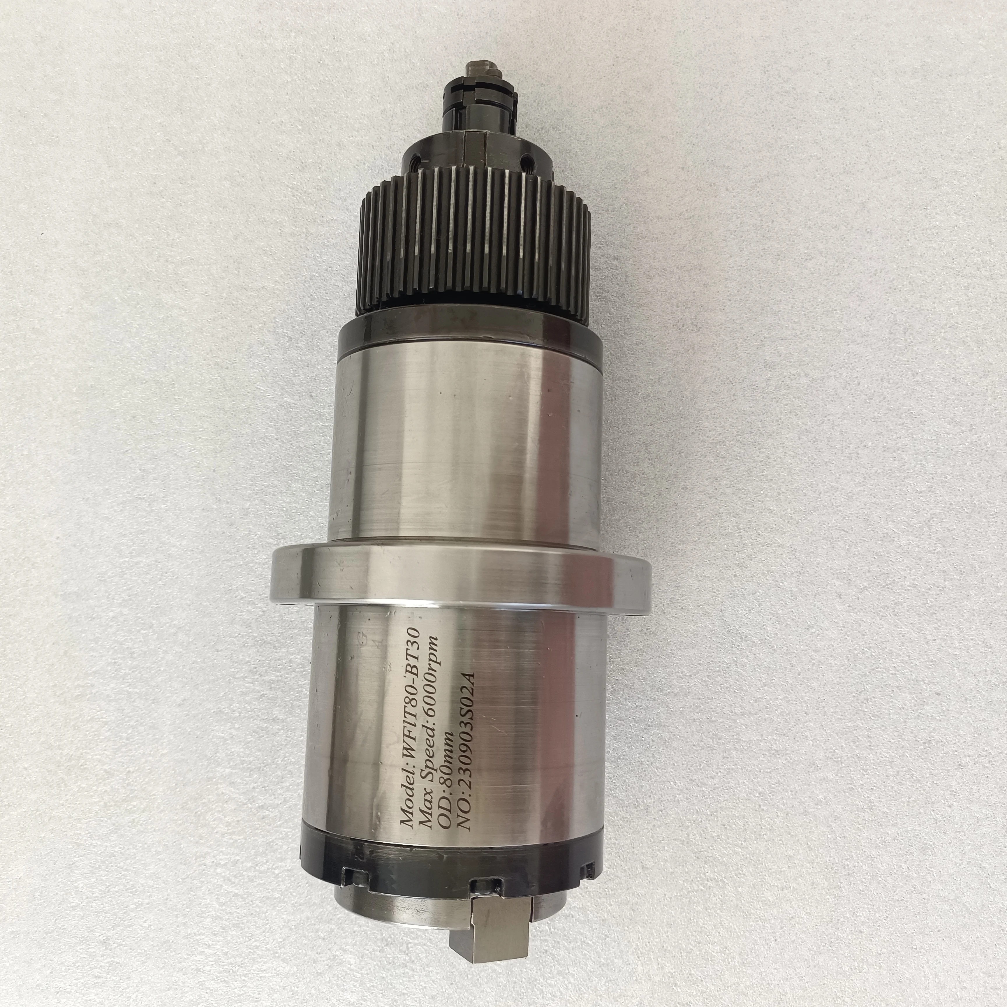 Professional Factory Spindle BT30 6000rpm 80mm Dia Milling Spindle