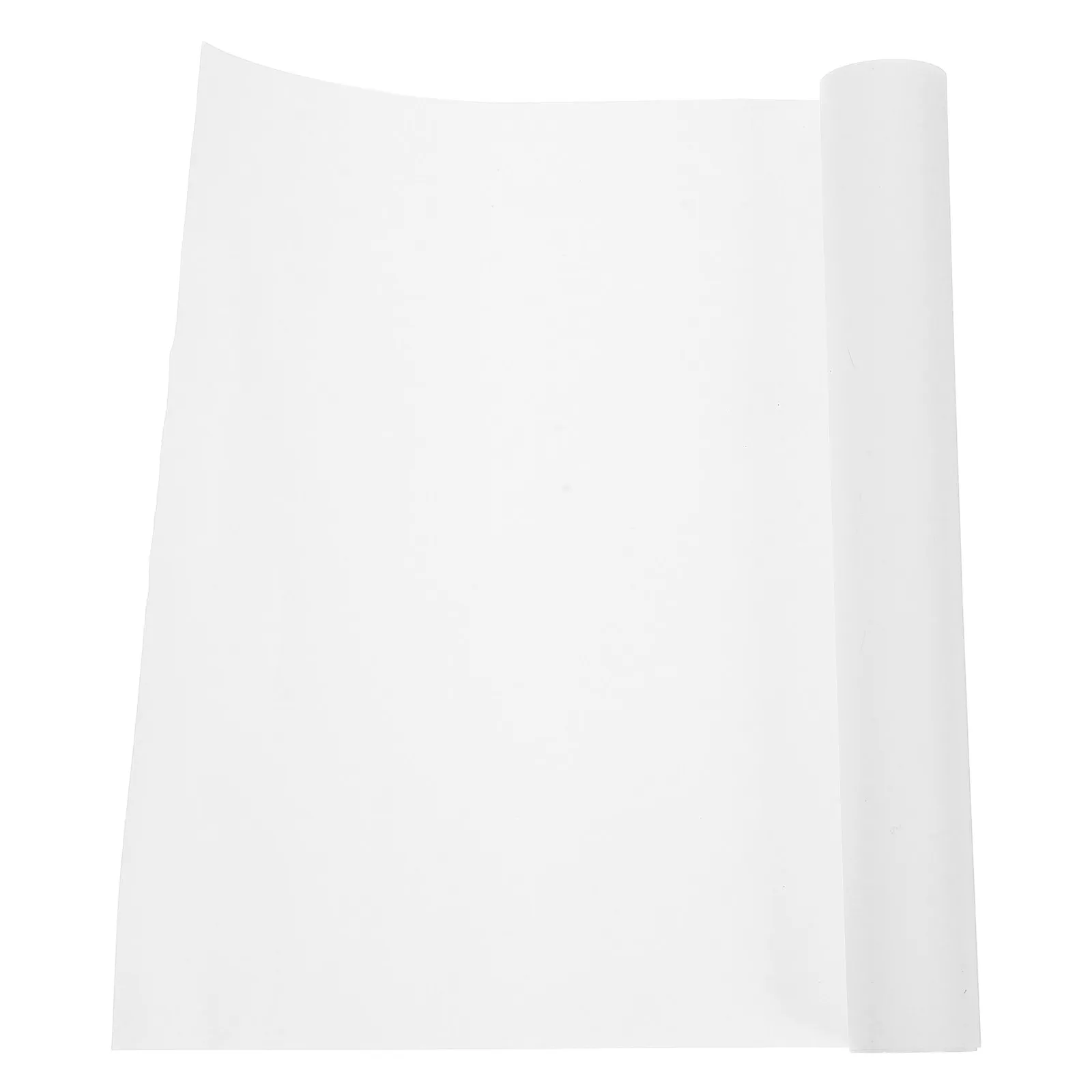 

A4 Thermal Paper Roll Portable Multipurpose Quick Dry for Study Assignments Invoices Forms Thermal Printing Paper Supplies