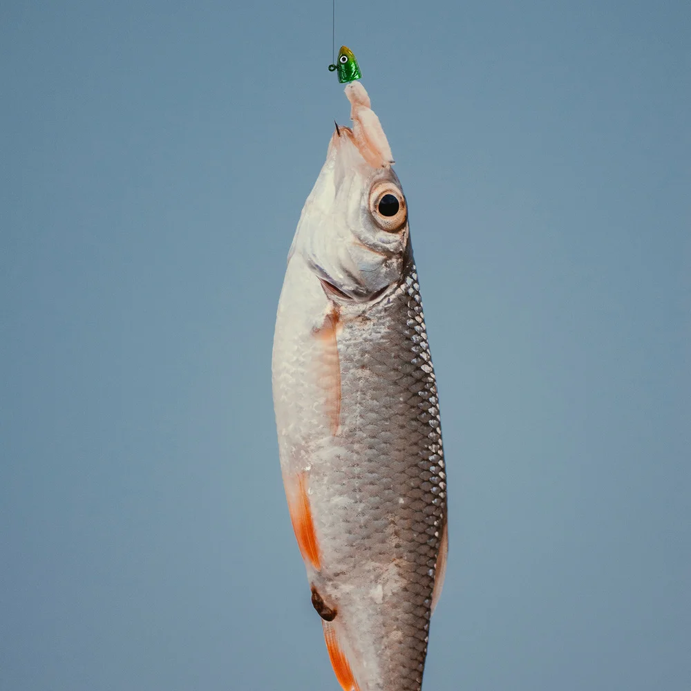 Рисунок 5 - рыболовные крючки из высокоуглеродистой