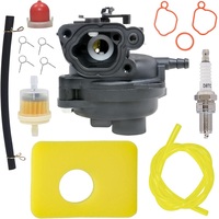 799583 Carburetor with Foam Filter, Fuel Filter, Spark plug 593261 595656 591979 591160