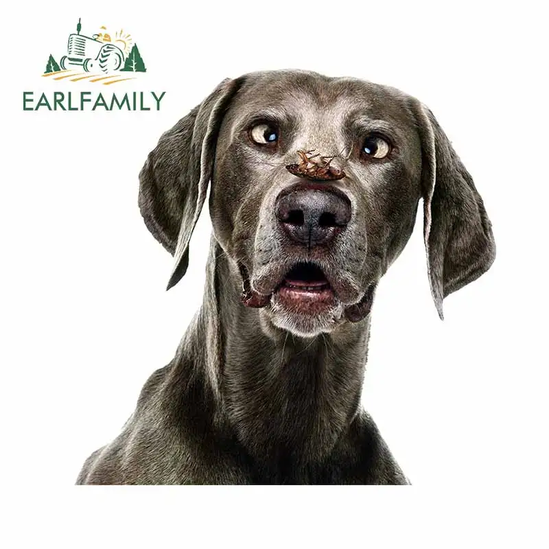 Earlfamily 13Cm X 1…