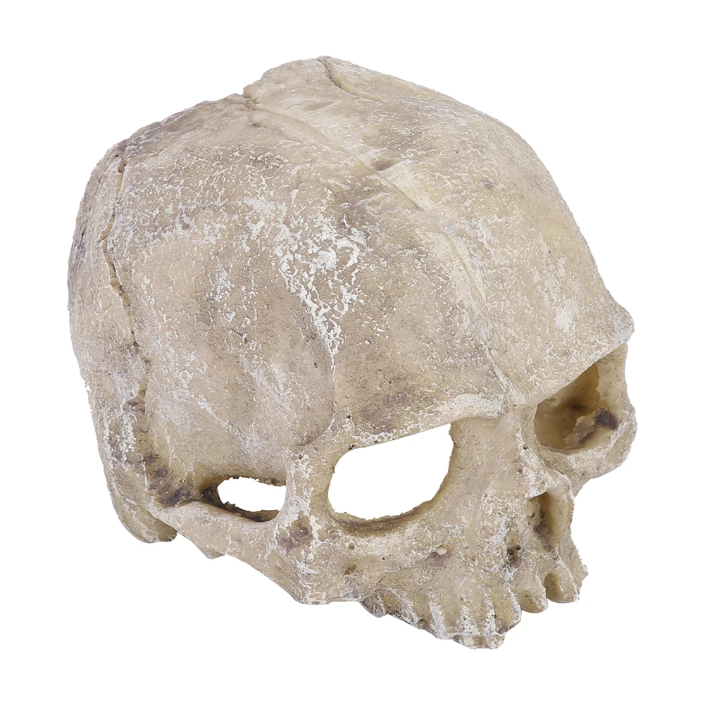 เรซิ่นจําลองหัวกระดูก Skull รู - Aquarium Fish Hide บทวิจารณ์และราคา