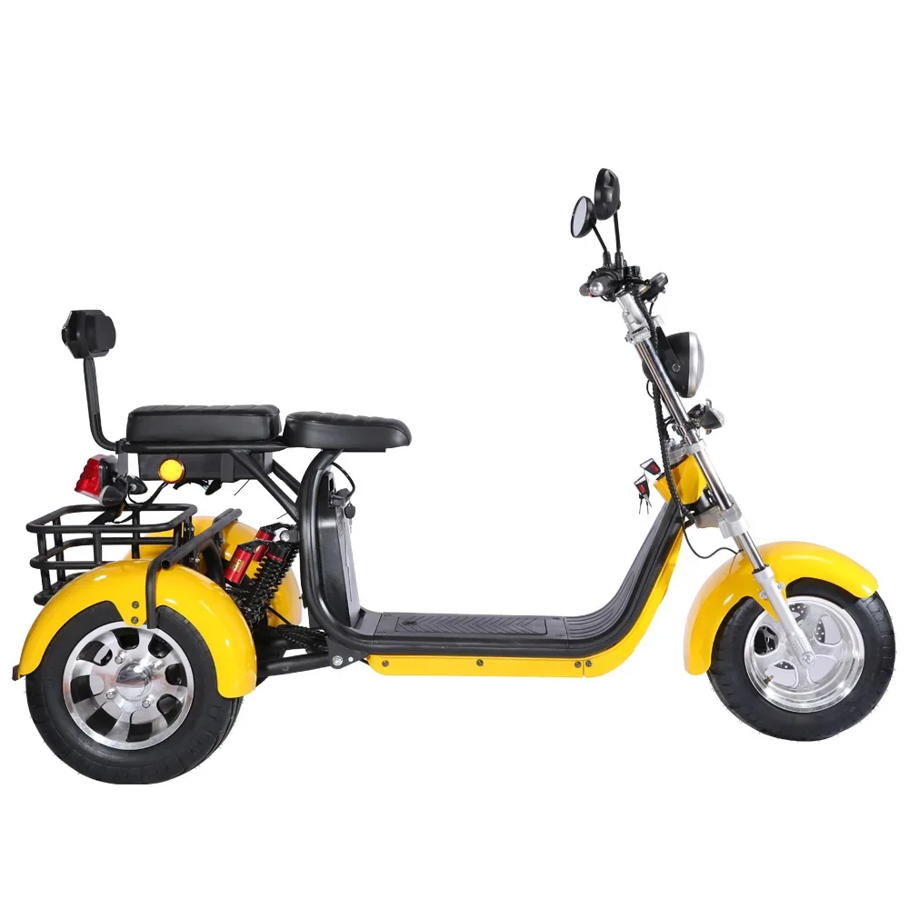 Netherlands Warehouse Outdoor Sports Adult Tricycles 3 Wheel  Electric Motorcycle With CE