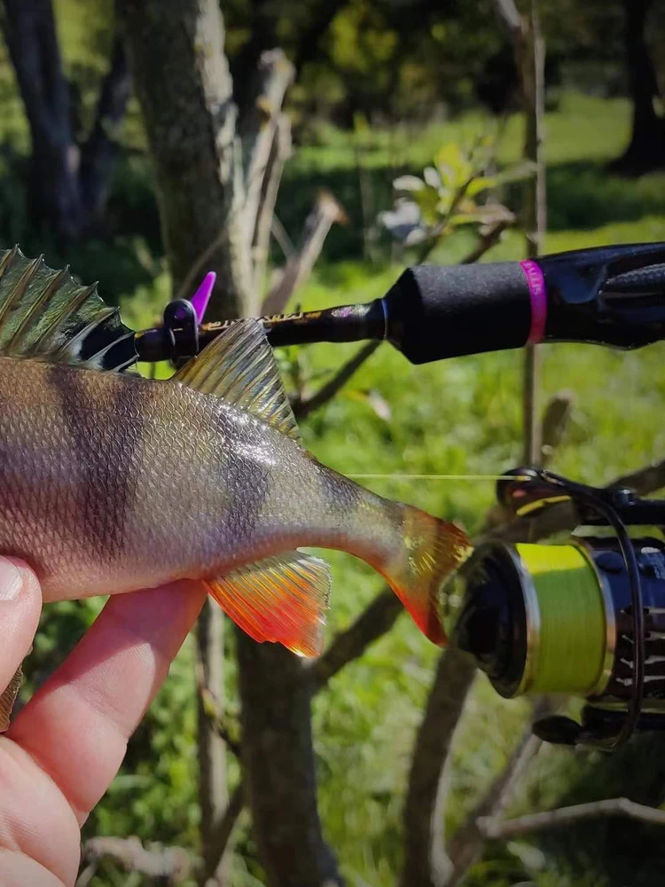 Micro THINNER Linie wędkarskie 100m 150m MT8 4 pasma plecione PE Japan Monofilament Zestaw żyłki wędkarłowate Drut wędkarski — 2
