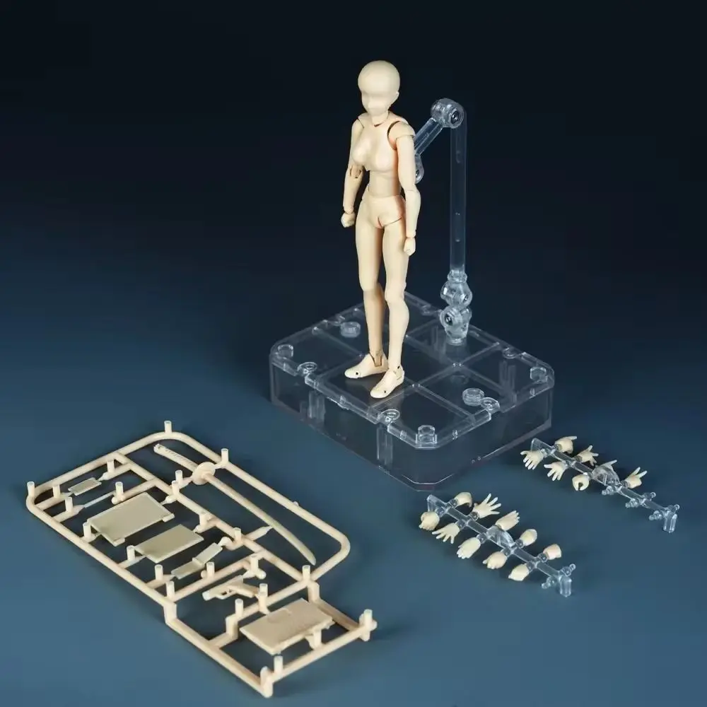 30 Movable Parts Sketch Action Figure 16cm Male/Female Human Mannequin with Display Stand Interchangeable Body Model Toys