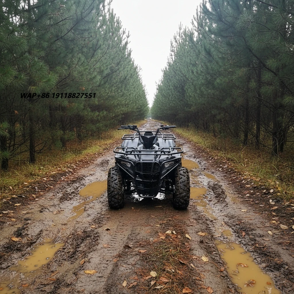 Motor beach car 72v 120ah 10kw off-road axle transmission with coc and eec