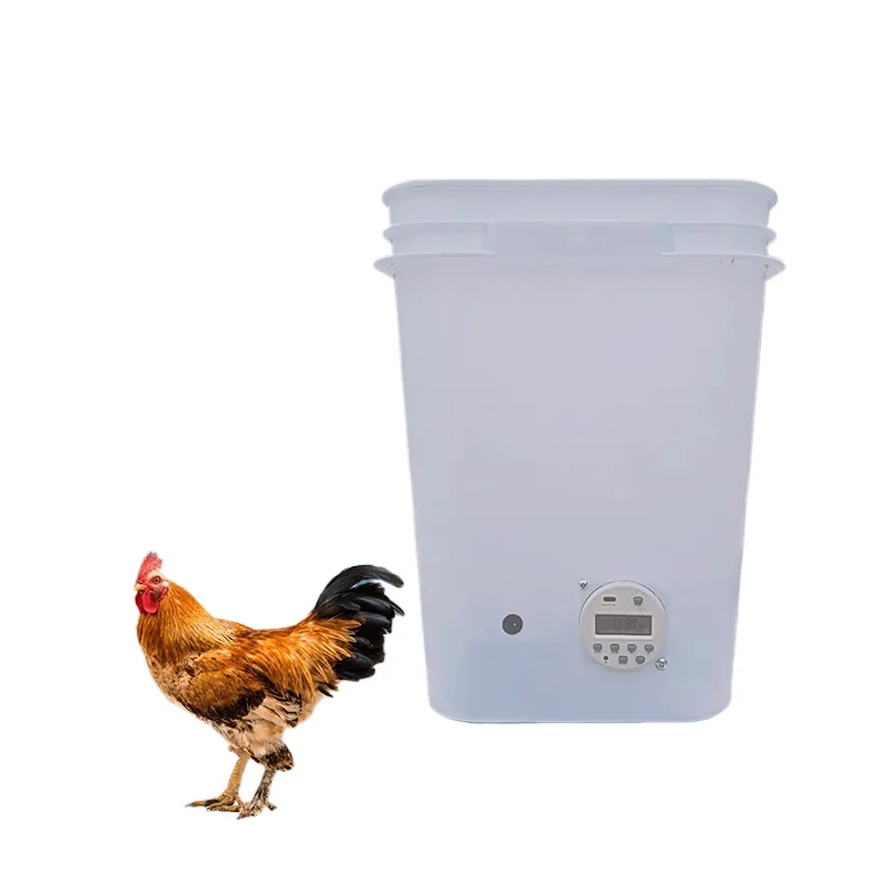 

Chicken feed bucket, trough feed bucket, chick chicken automatic feeder