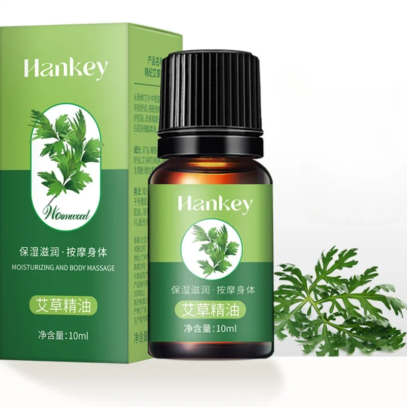 10ml  Argy Wormwood Rose Plant Essential Oil Scraping Massage Oils Skincare Natural Plant-based Massage Essential Oil