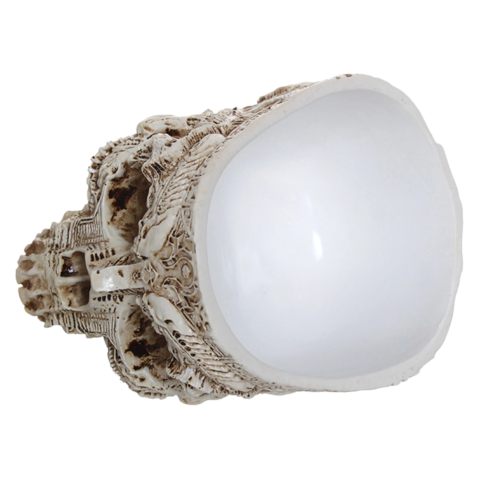 กระถางดอกไม้กะโหลกศีรษะแนวฮาโลวีนที่เก็บภาชนะใส่กระถางต้นไม้แบบกอธิคเหมาะสำหรับตกแต่งสวนในบ้าน