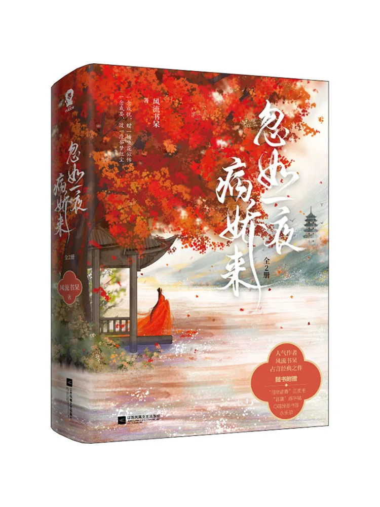 

Книга-Winshare Ignore the Illness of a Night 2-х томов в целом