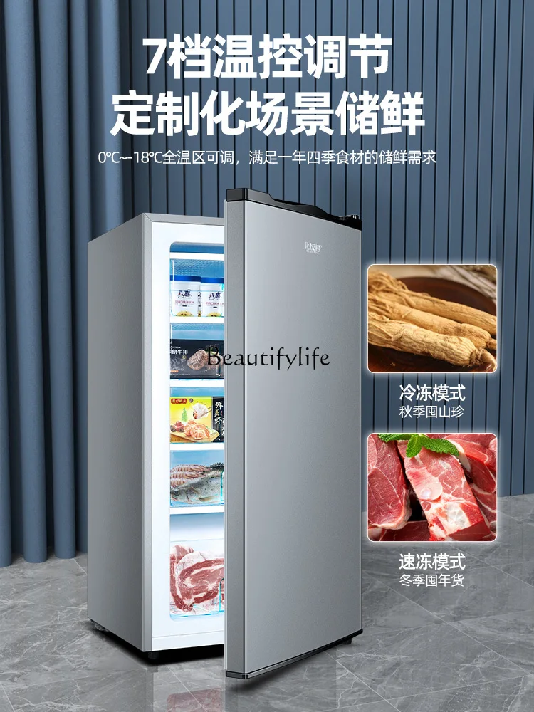 Vertical freezer 90L small freezer fast freezing commercial storage energy saving refrigerator