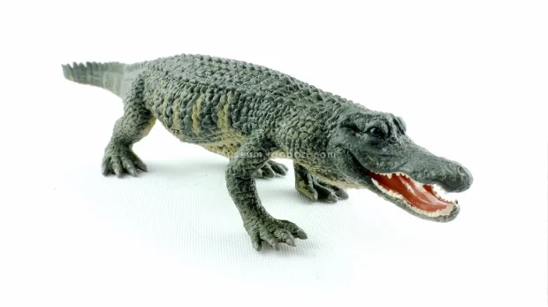 الحيوانات البرية محاكاة لعبة مجسمة النيل التمساح الأمريكية قصيرة Snouted التمساح الشعور المادي يمكن أن يكون لعبة مجسمة العملي #6