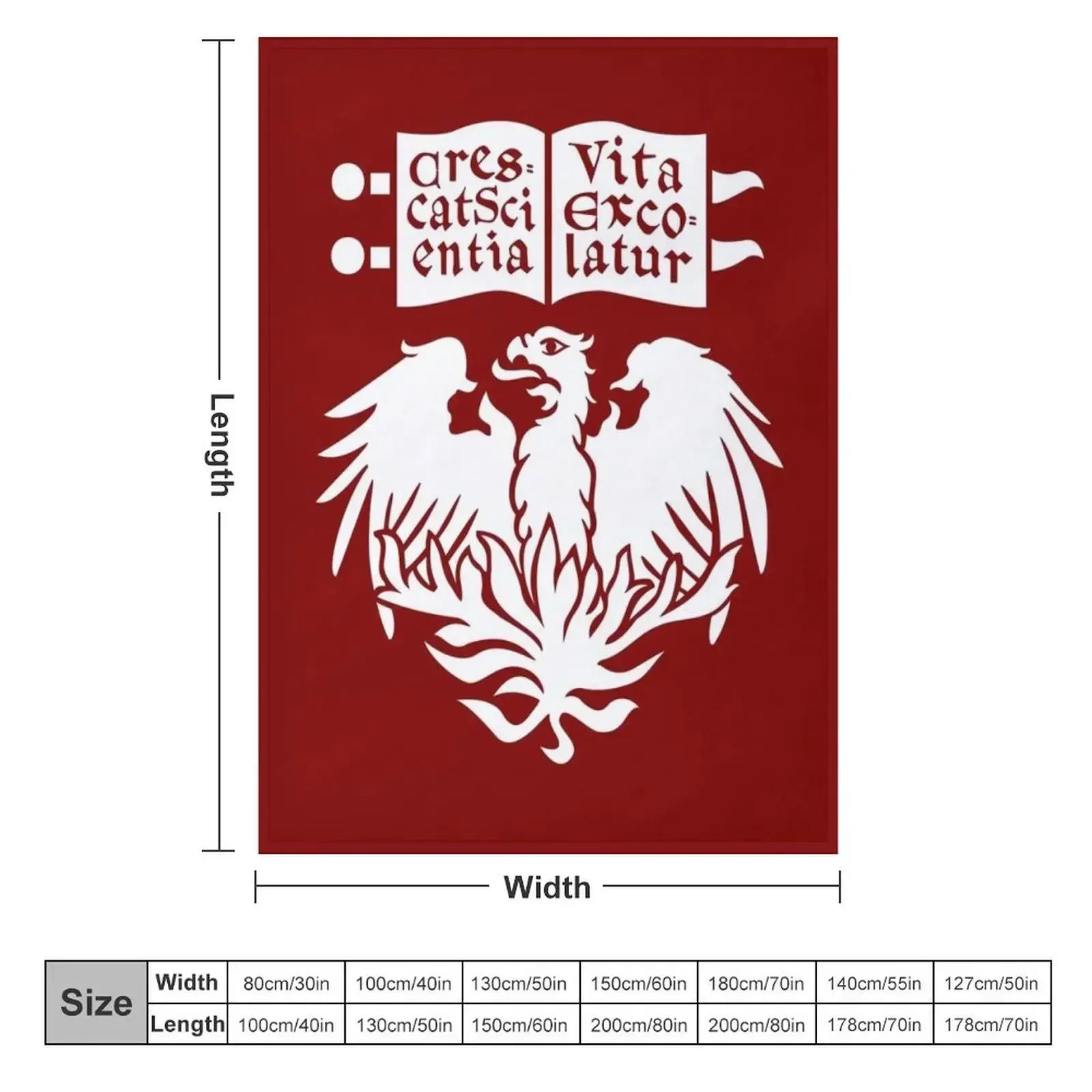 The University of Chicago icon Throw Blanket Plush Heavy Summer Retros Hairy Single Blankets