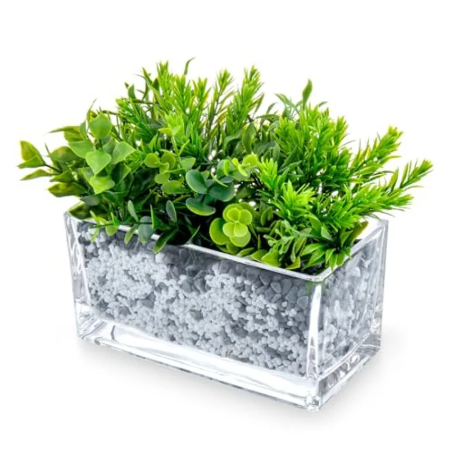 7.8 inch Modern Rectangular Glass Vase, Trough Planter, Tabletop Glass Terrarium