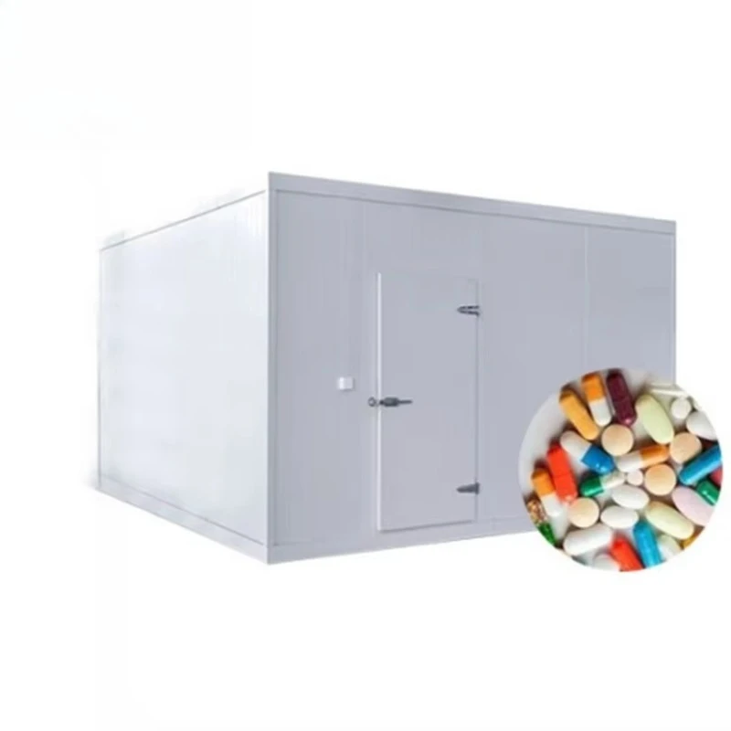 FL Wholesale Mobile Cool Room Movable Portable Cold Storage for Block Ice in Nigeria Customized