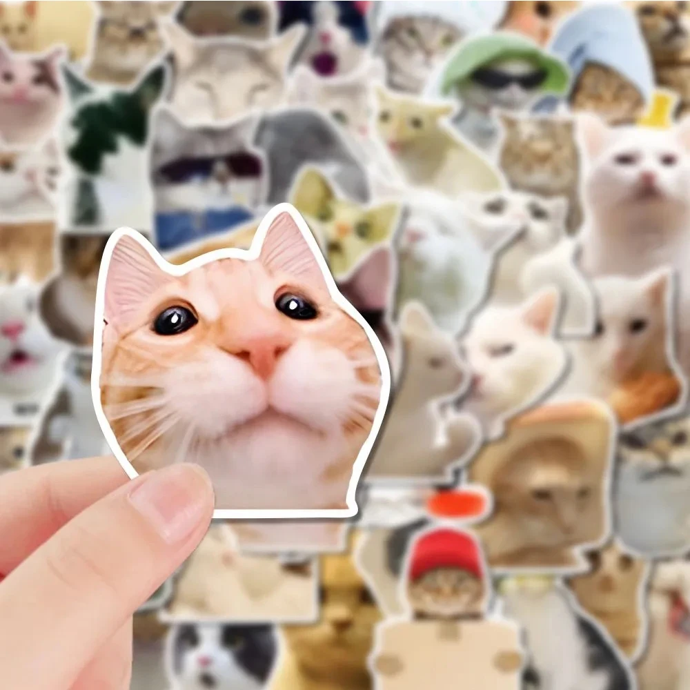

10/30/50pcs Cute Funny Cat Meme Stickers Decals Graffiti Stationery Suitcase Phone Helmet Car Cartoon DIY Waterproof Sticker Toy