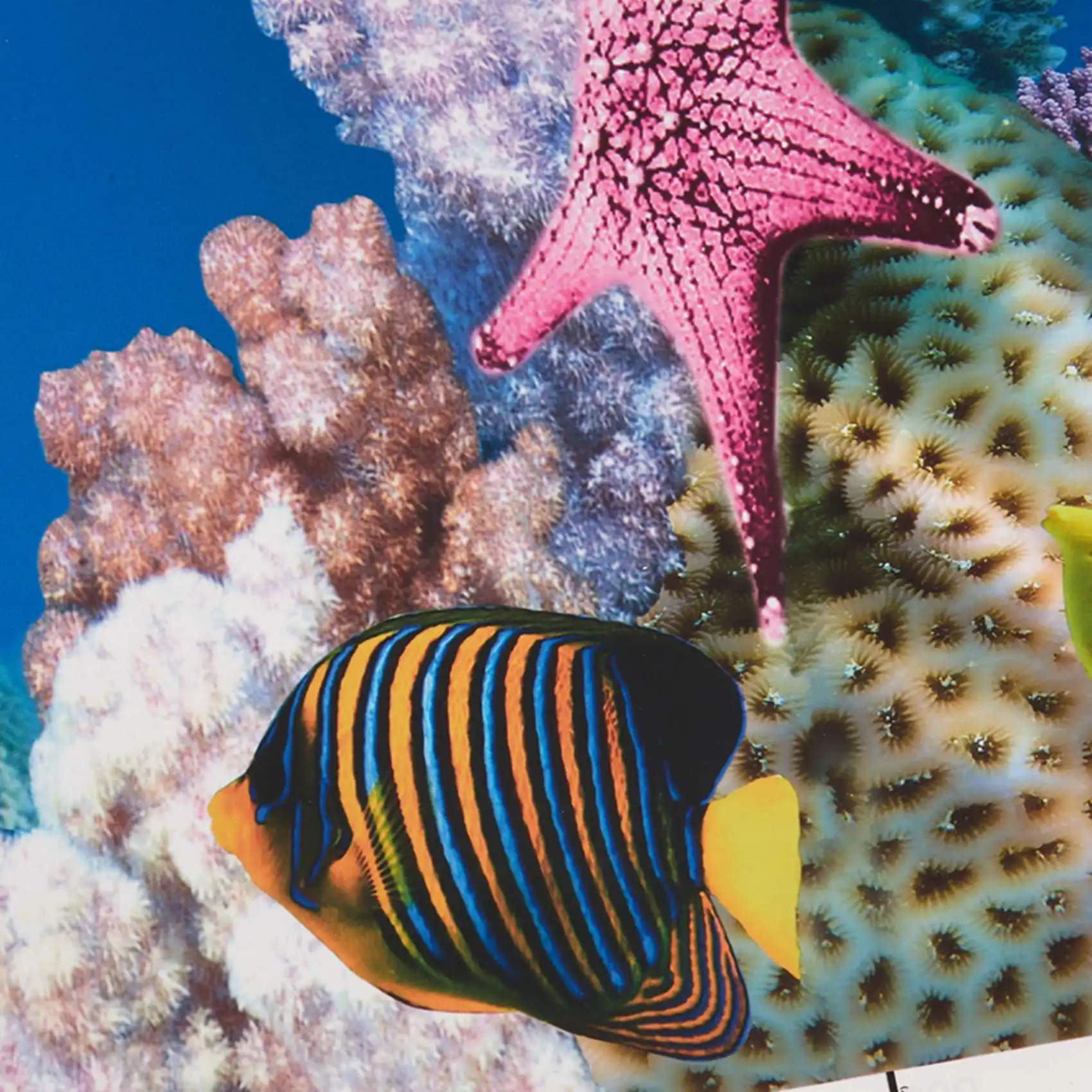 Versatile Aquarium …