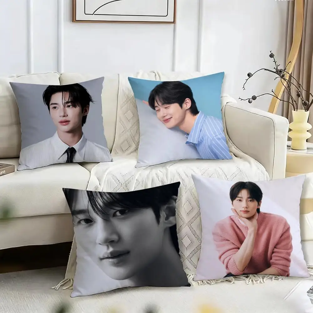 

Чехол для подушки Byeon Woo-seok, двусторонняя плюшевая наволочка – для автомобиля, дивана, спальни, идеально подходит в подарок.
