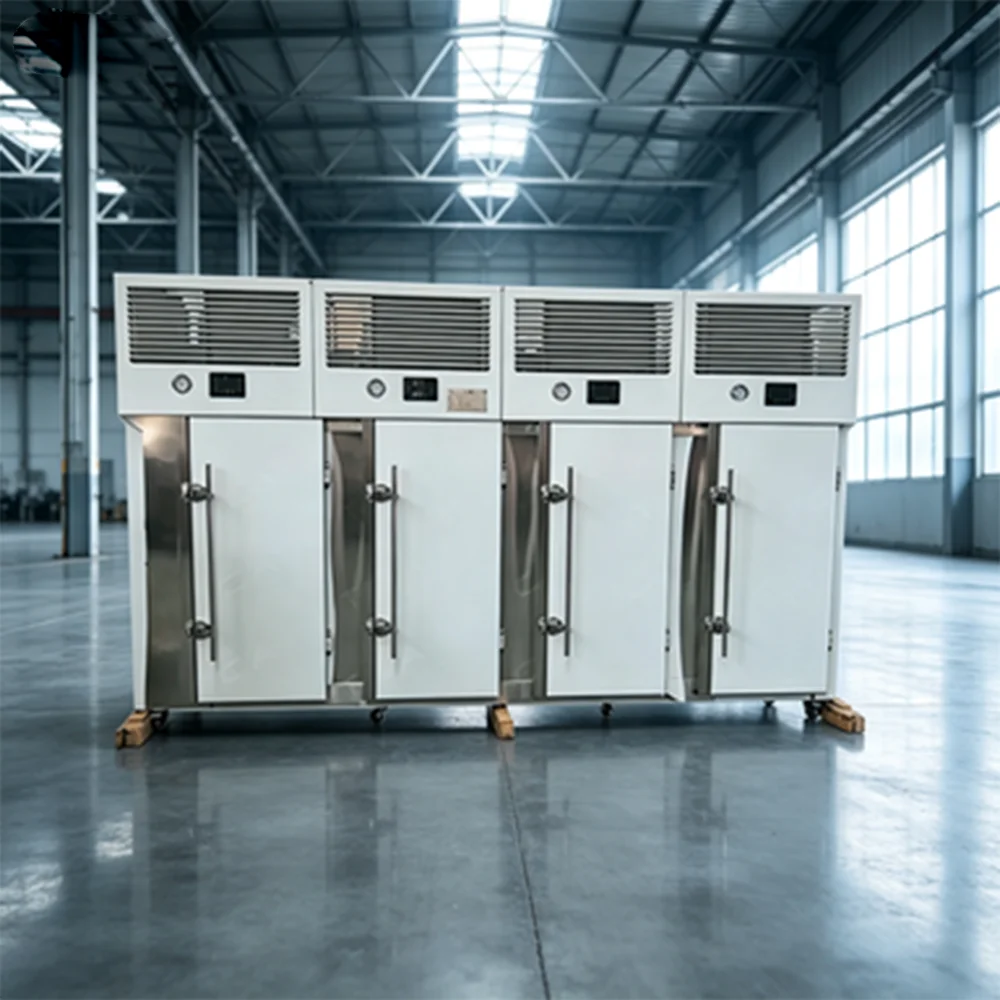 Quick- Cabinet-type Freezers Are for Rapid of Fruits, Vegetables, Food, and Central Kitchens.