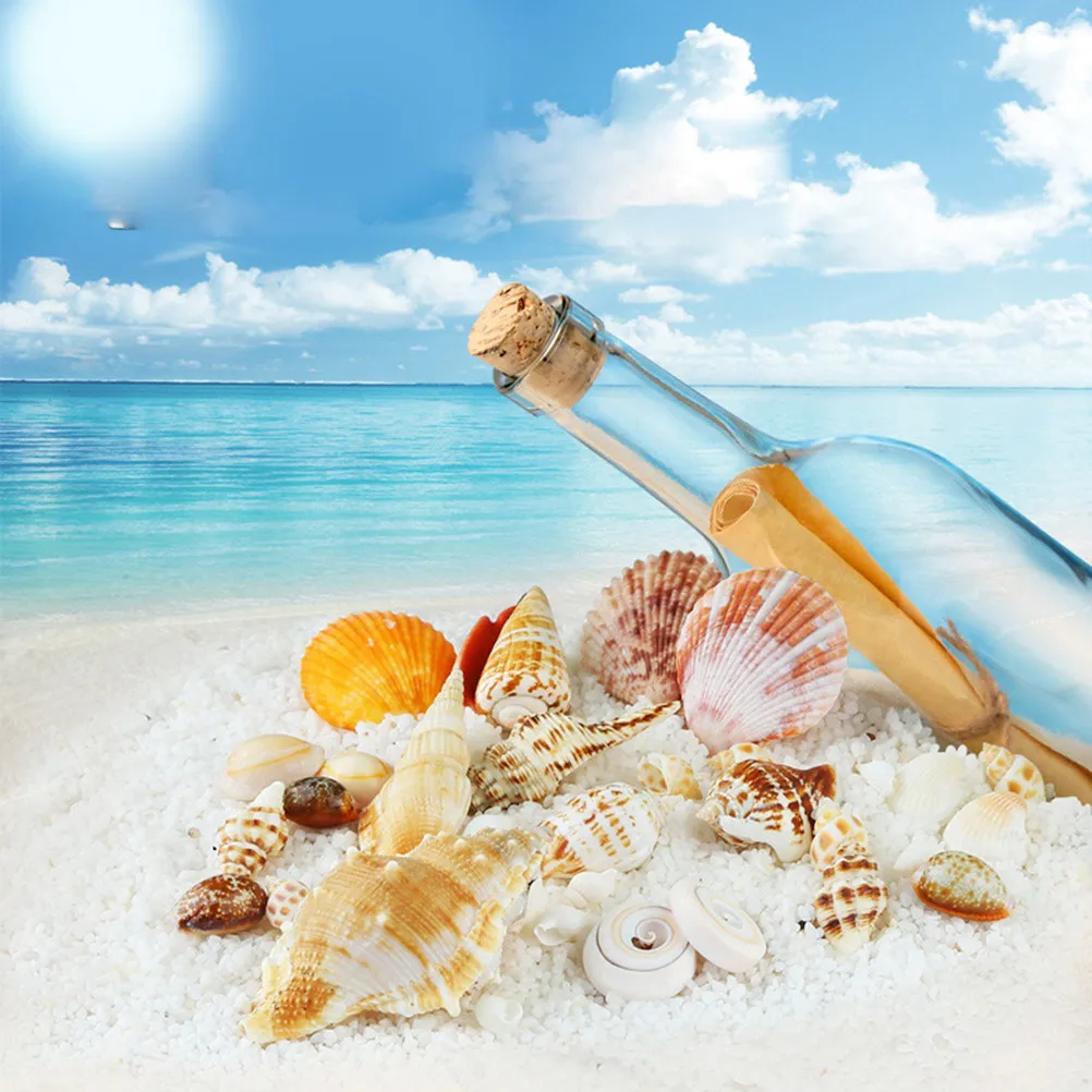 500g Seashells Mixed Ocean Beach Seashells Natural Colorful Seashells for Decoration Crafts (Assorted Color)