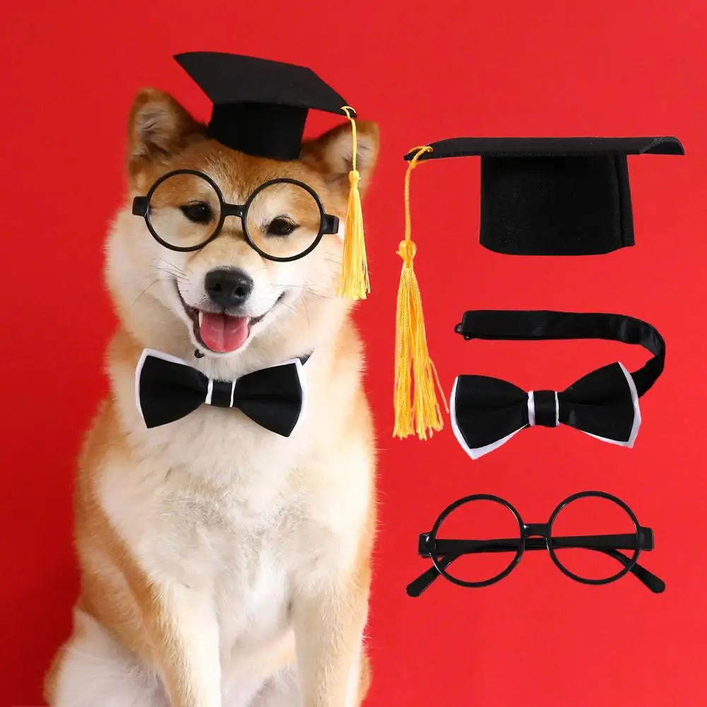 1 Set Pretty Cat Graduation Hat  Adorable Creative Dog Graduation Hat  Pet Cats Dogs Graduation Hat Collar Glasses Set