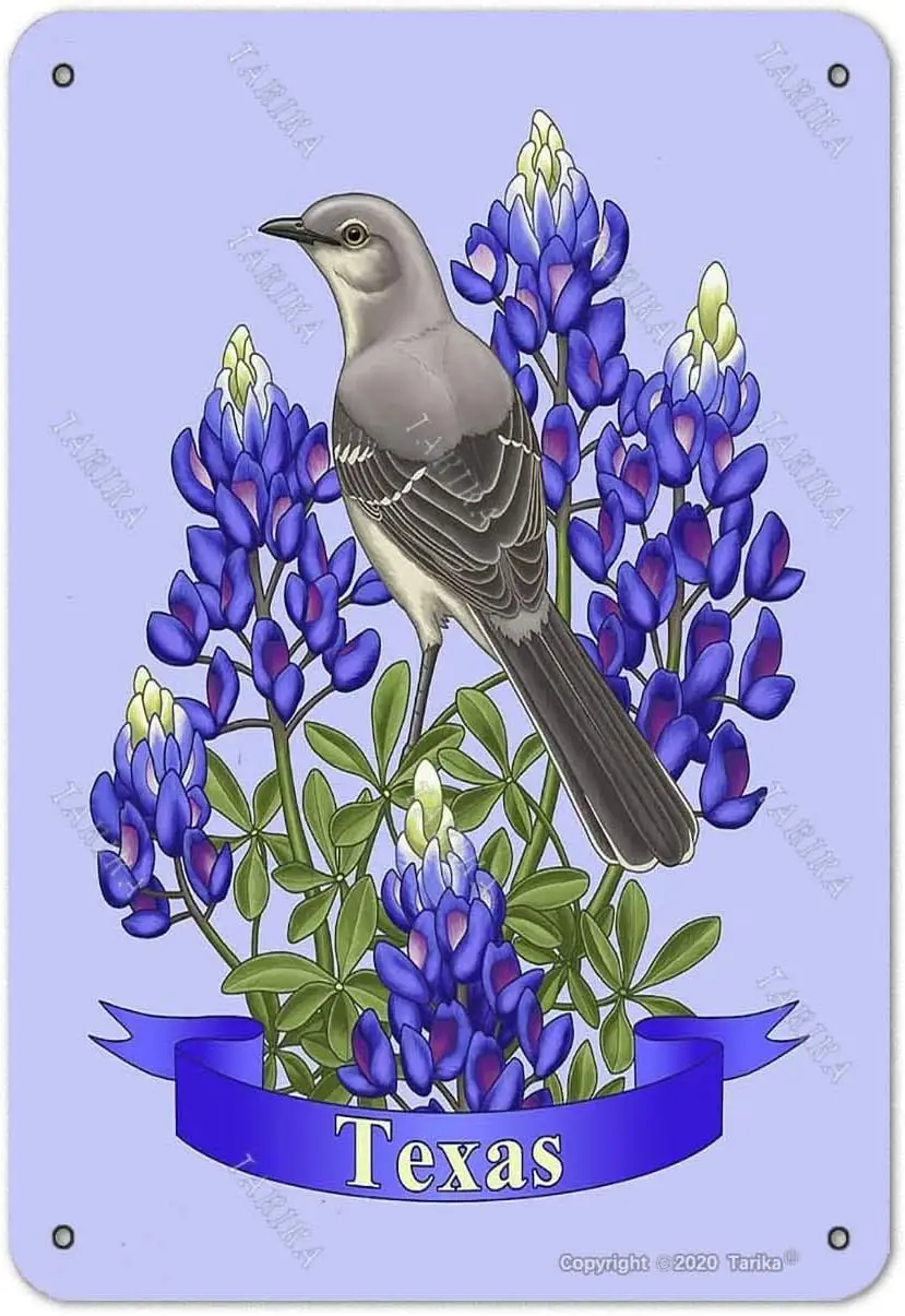 Texas State Mockingbird and Bluebonnet Flower Iron 8X12 Inch Vintage Look Decoration Art Sign for Home Kitchen Bathroom Far sign