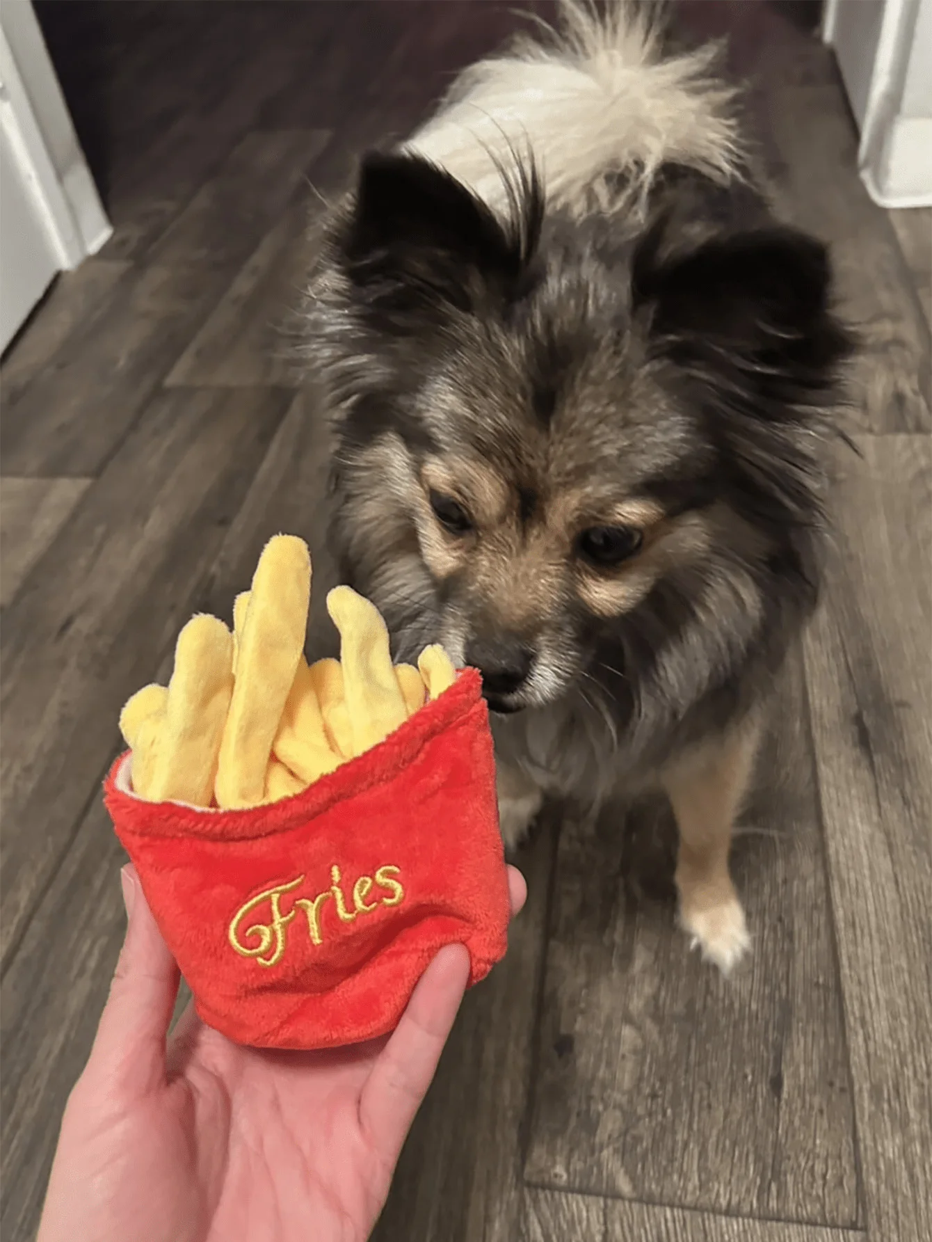 1 piece of french fry design pet plush toy, detachable frenc