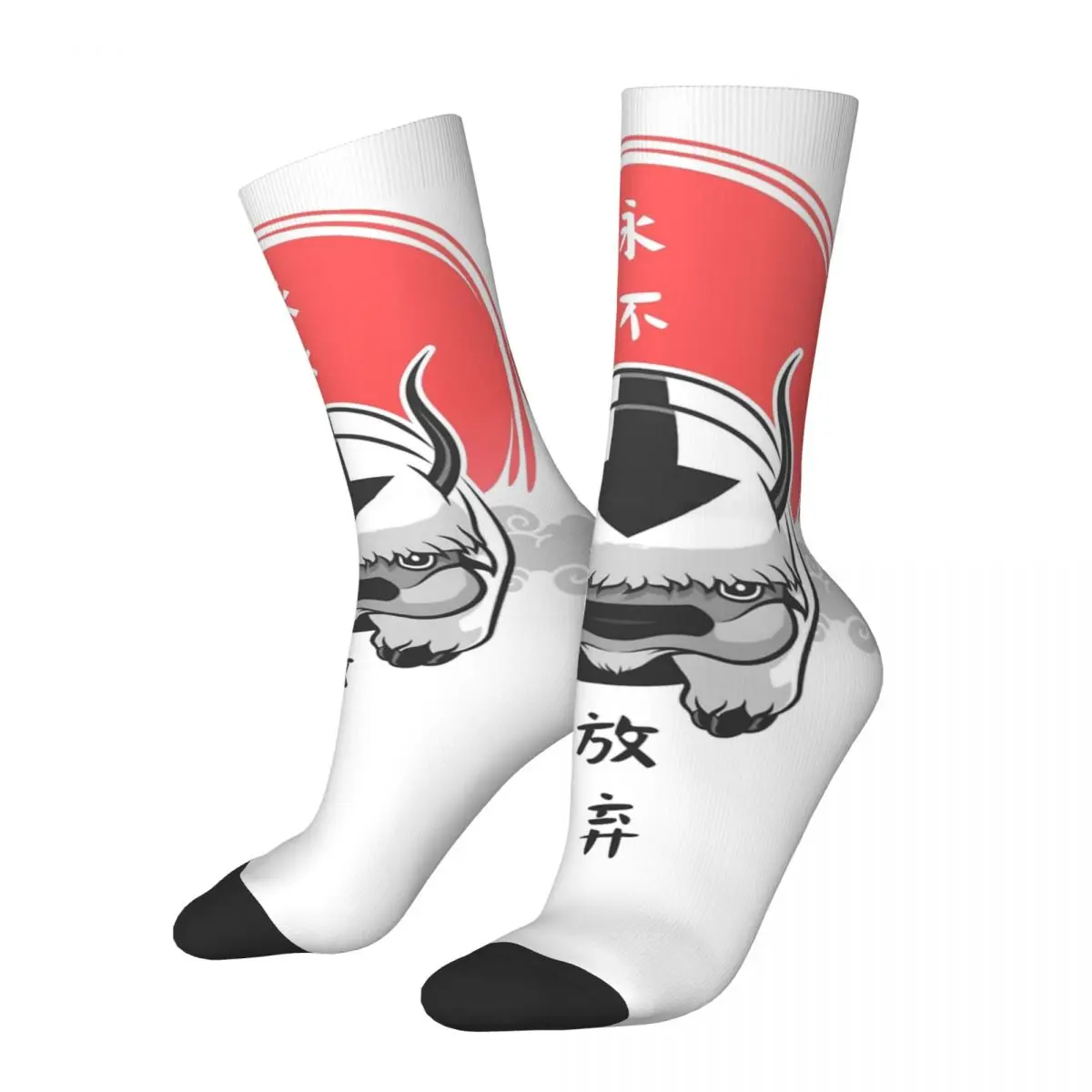 Winter Warm Harajuku Unisex Avatar The Last Airbender Socks Appa Non-slip Crew Socks