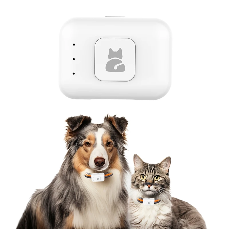 GPS Pet Tracker with Colorful LED Flash 4G Smart Pet Collar IP67 Waterproof Pet Pedometer Calorie Health Data Tracker
