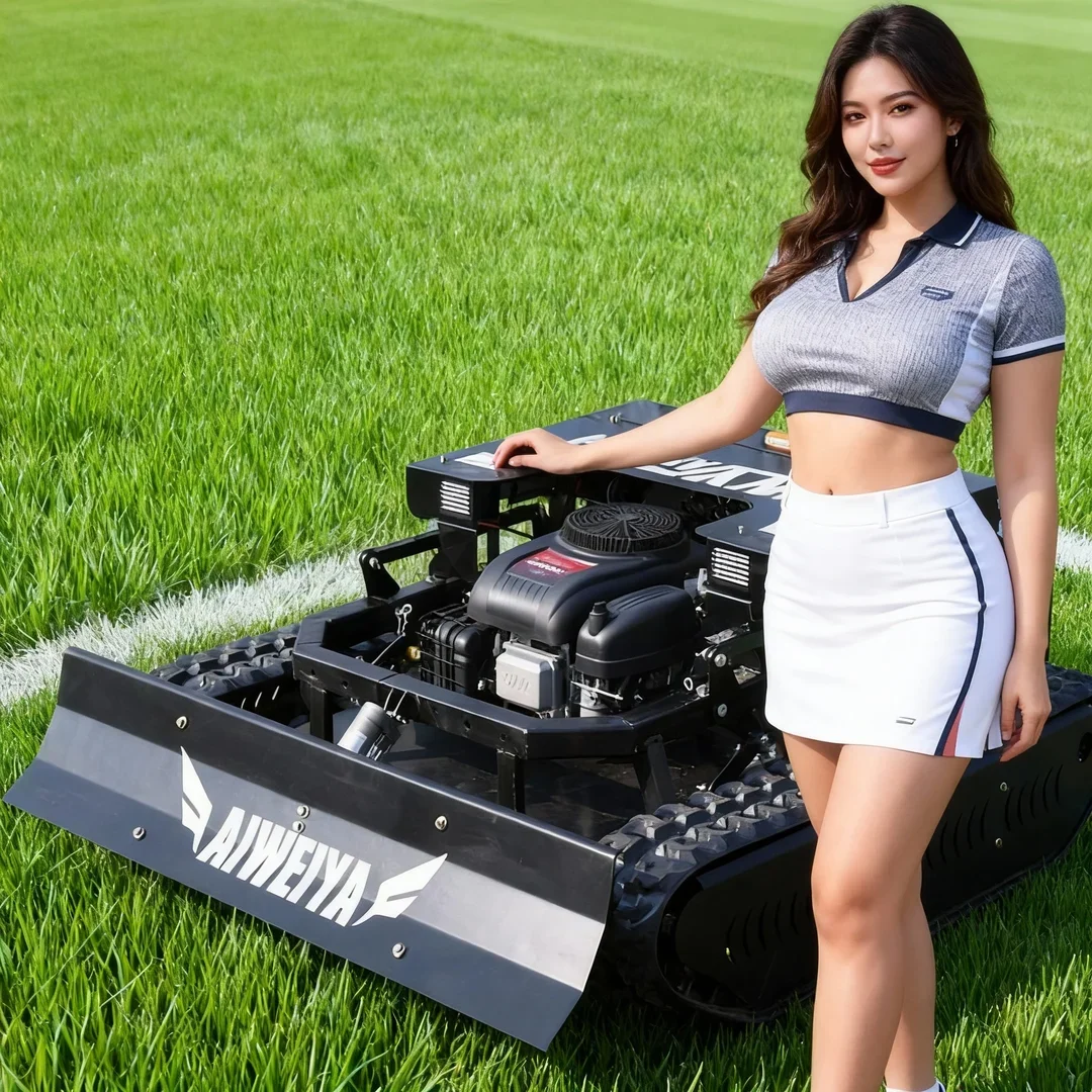 

Индивидуальная газонокосилка с сертификатом CE/EPA, основной компонент двигателя, 2-в-1: кошение травы и уборка снега, прямые продажи