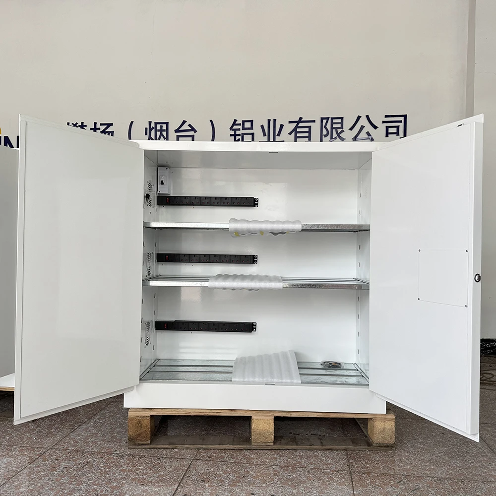 リチウムイオン電池用ラックマウント型蓄電池分配ボックスキャビ - Energy Storage Rack のレビューと価格