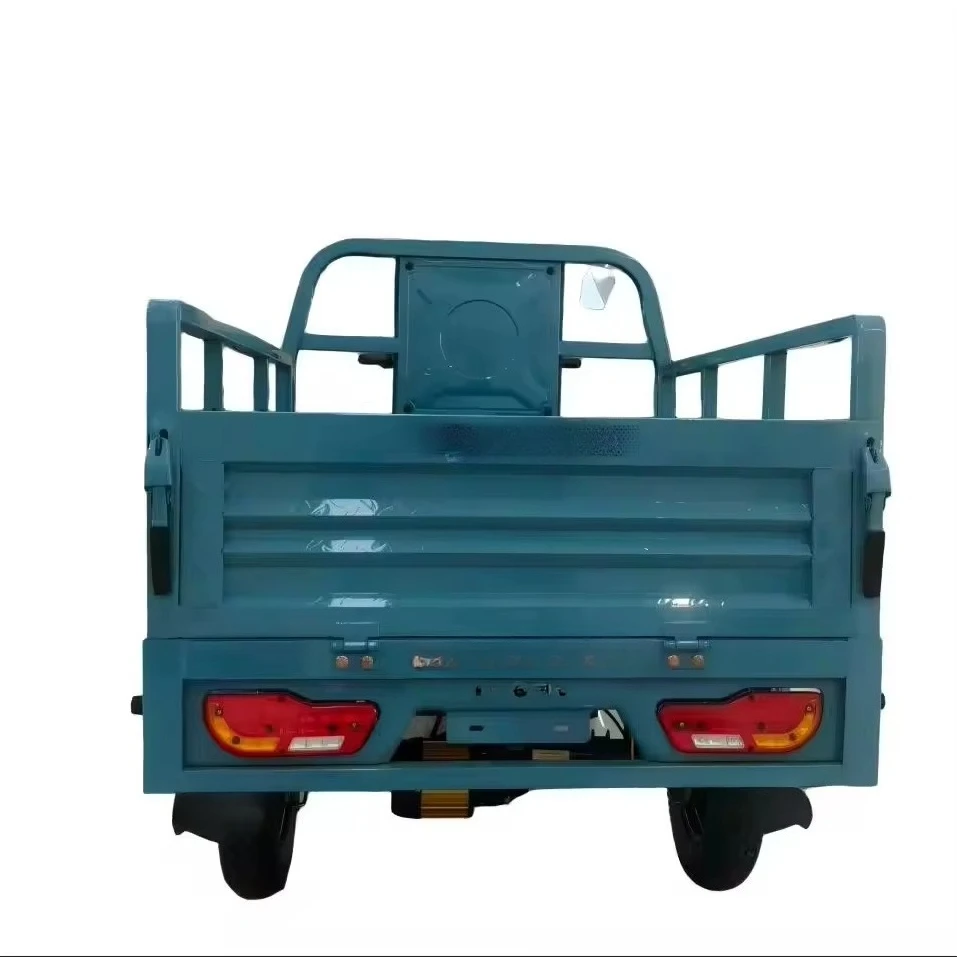 QQW Hot-selling three-wheeled electric tricycle, equipped with 800W motor, high load capacity 60v, for freight transportation