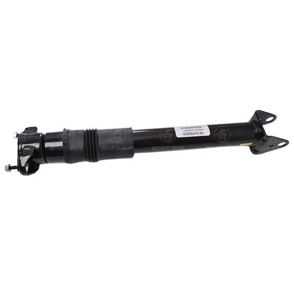 Automatic Automobile Parts Rear Shock Absorber OEM 2513202231 2513200631 2513201431 2513202131 Suitable For Mercedes-B W251 V251