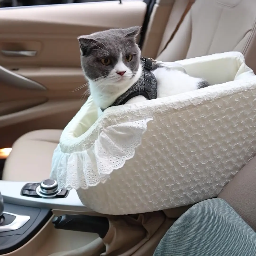 

Cat, Dog, Pet Seat Basket, Car Seat, Pet Bag