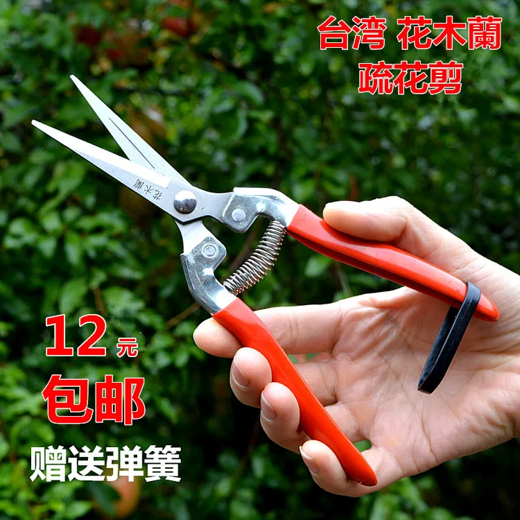 

Thinning Flowers and Fruits, Picking Fruits and Cutting Thin Fruits, Bonsai Pruning, Gardening, Garden Flower Branch Pruning