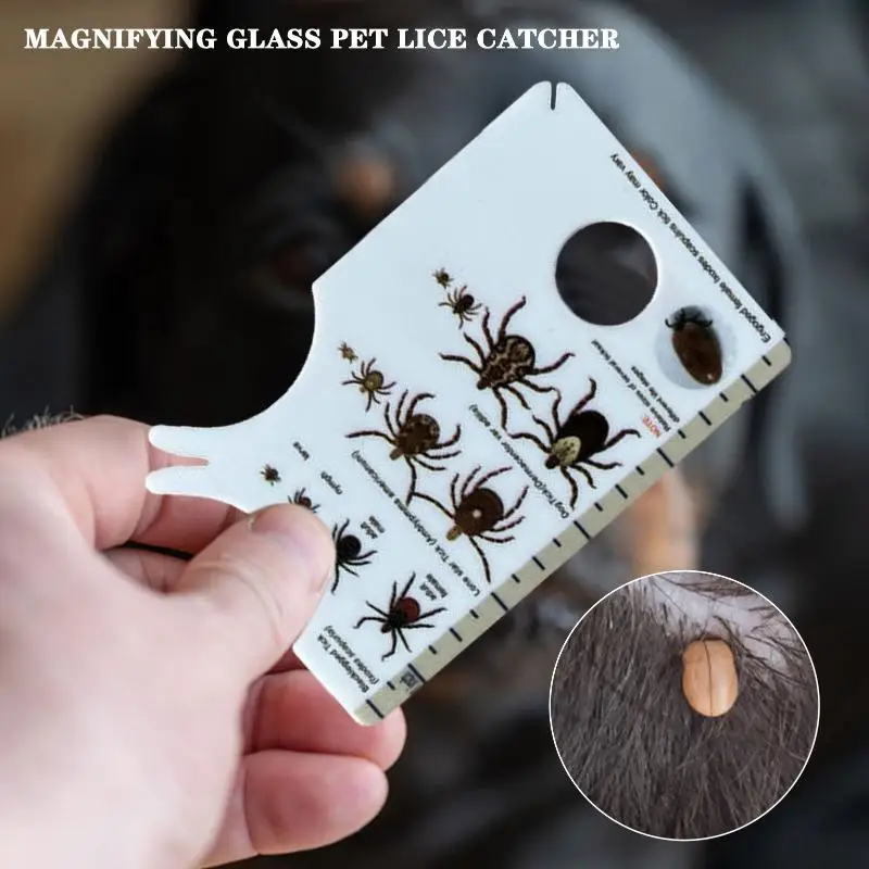 Tick Card With Magnifying Glass Allows Easy Removal Of Ticks Tick Remover For Dogs And Cats With Handy Pocket Size 8.2x5.5cm
