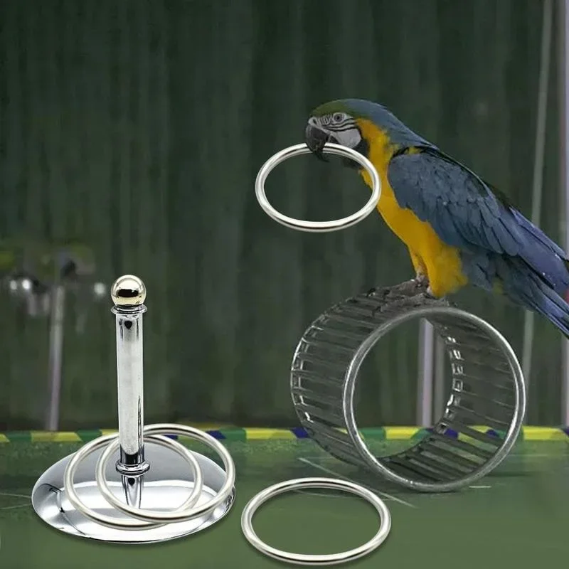 Bird Tricks Tabletop Toys Training Basketballs Stacking Ring Sets Parrots Chewing Balls Playing Various Occasions