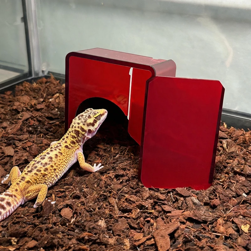 Kotak Reptil Akrilik Merah, De - Gecko Lighting & Decor ulasan dan harga