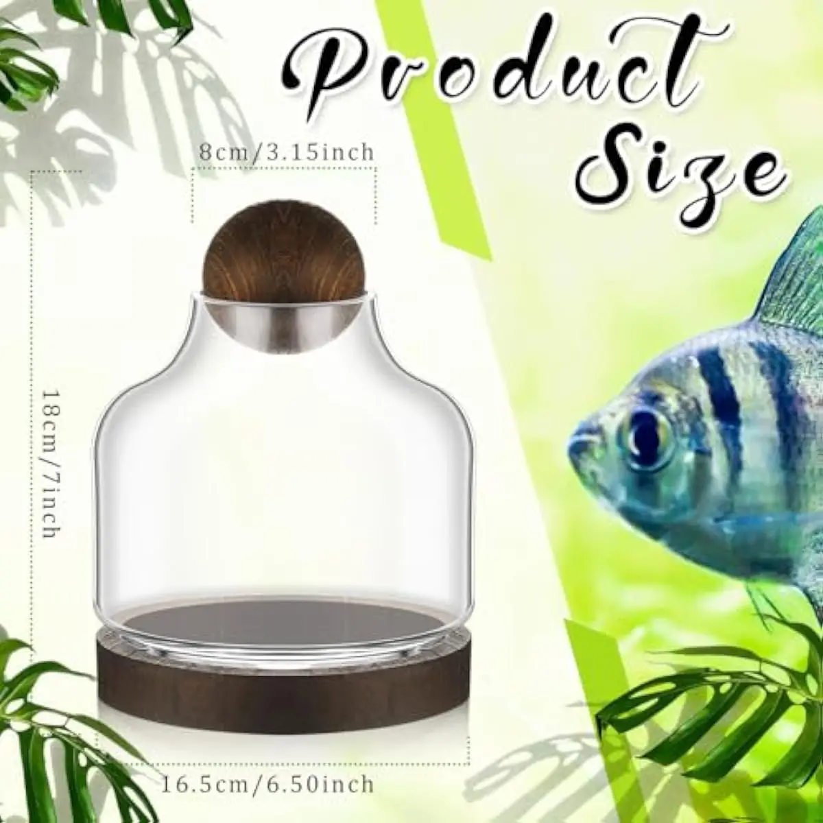 2 pcs round clear glass terrarium jars with natural wood base and spherical lid, 7 inch diameter lightweight indoor ecosystem ve