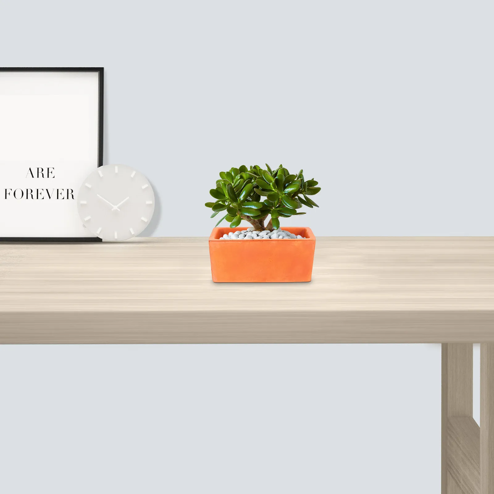 

Прямоугольный терракотовый горшок для цветов, маленький глиняный кашпо с дренажным отверстием, для дома, подоконника, бонсай, суккулентов, декоративная керамика