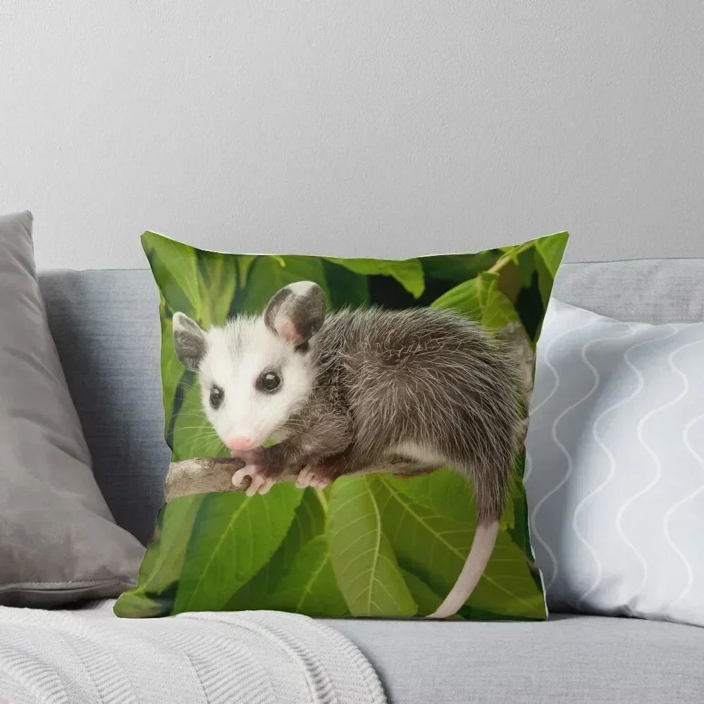 

Baby Opossum Throw Pillow Luxury Cushion Cover Couch Cushions pillow pillowcase luxury covers pillow