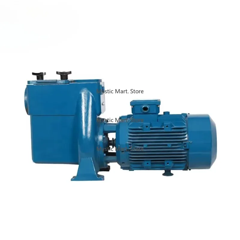 

Aqua Circulating Pump Cast Iron Water Pump with High Power for Large Swimming Pool/water Park