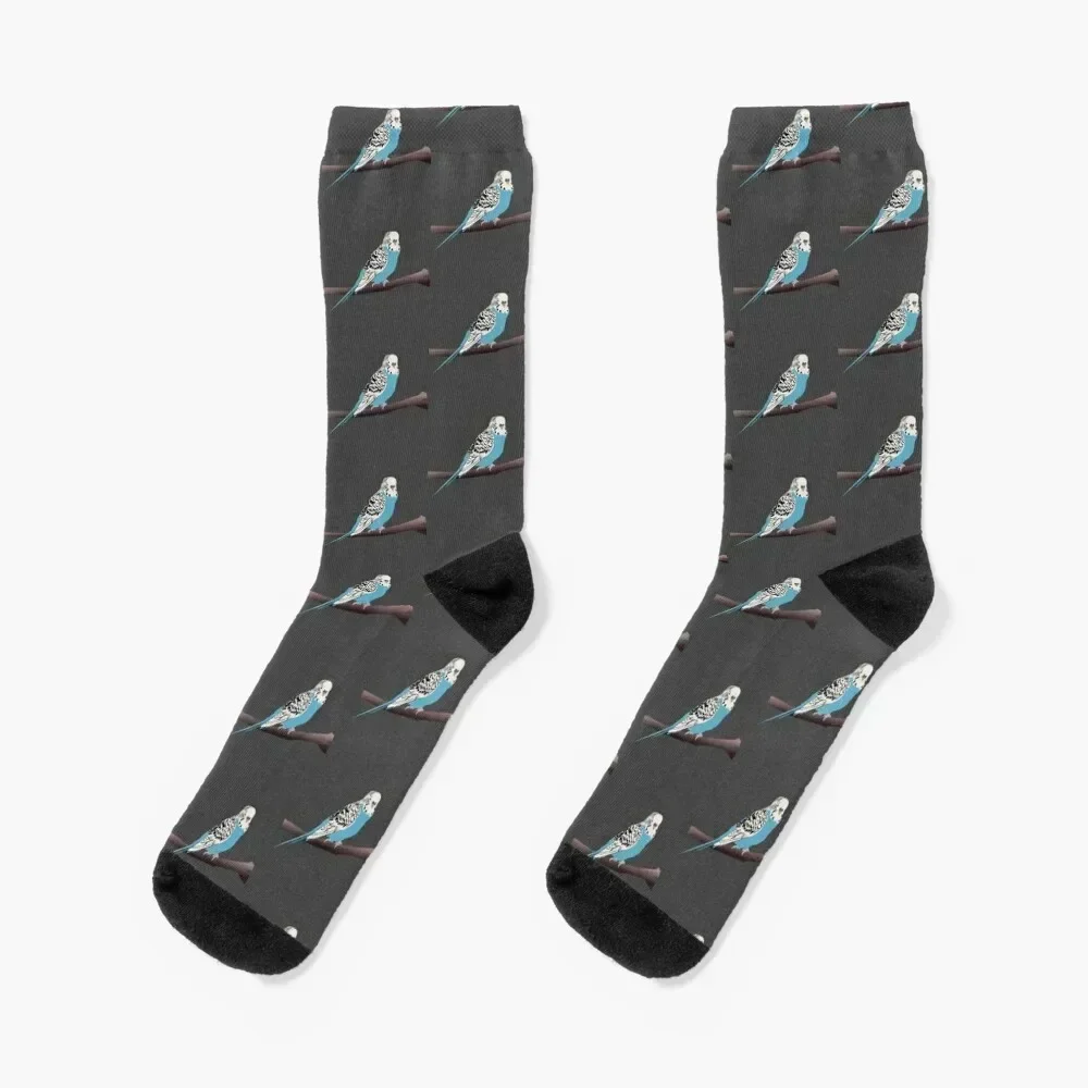

Blue Parakeet/Budgie Socks kids Heating sock hip hop gym Socks For Girls Men's