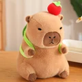 LB turtle apple