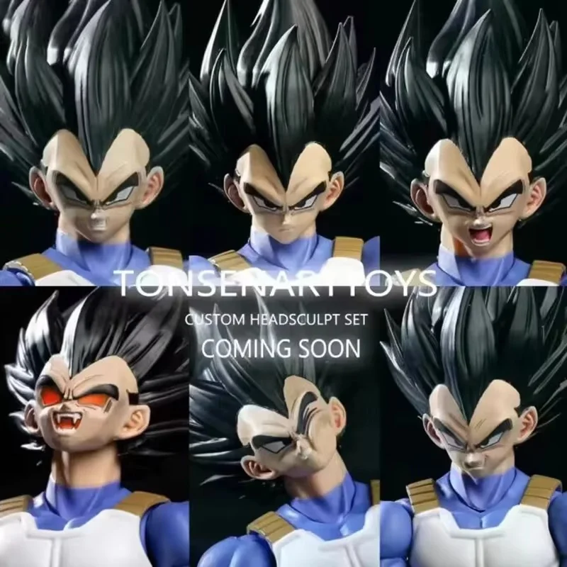 Tonsenarttoys Primitive Prince Suit For Demoniacal Fit Vegeta Head Model Accessory Pack Toys Anime Figurals Brinquedos Set