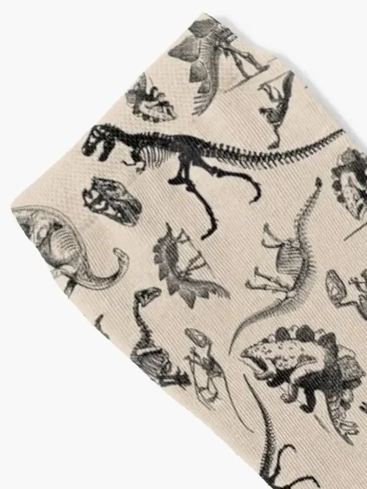 Vintage Museum Dinosaurs and Skeletons Black and Cream Socks gym Non-slip Socks Man Women's