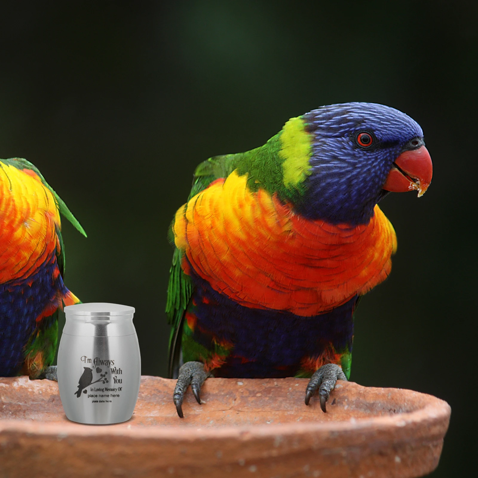 

Special Parrot Urn Stainless Steel Memorial Cinerary Casket for Pet Bird Ashes Keepsake Funeral Tank Minimalist Style Anti