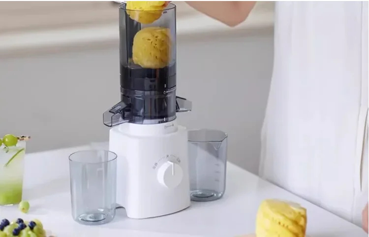 220V Olayks Large M… - image